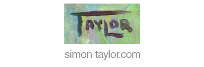 Simon Taylor, Artist & Guitarist